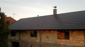 Roofing sheet metal